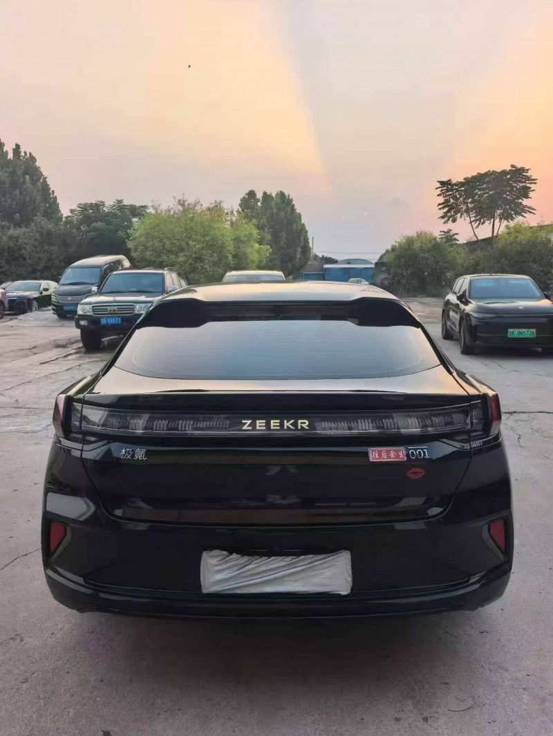 枣庄24年极氪汽车0019