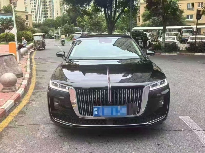 安阳21年红旗H91
