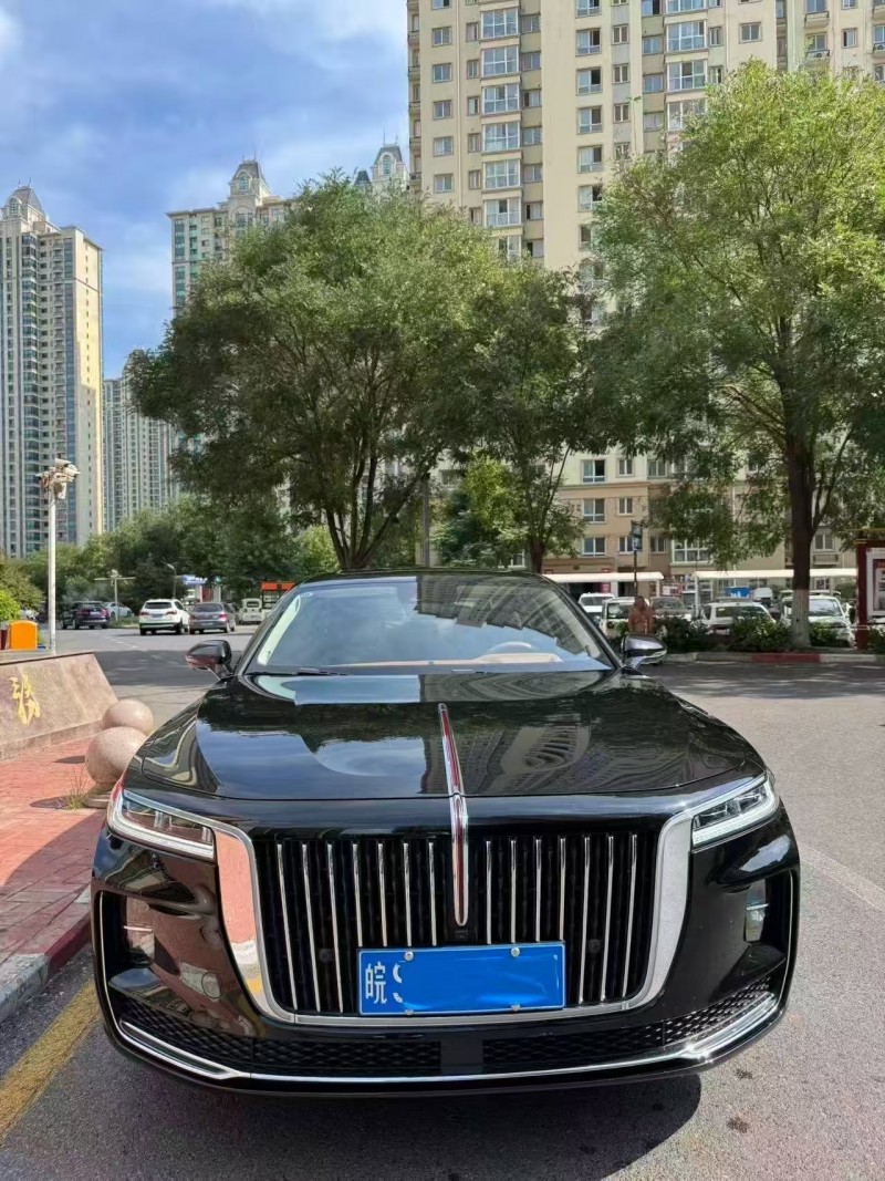 安阳22年红旗H91