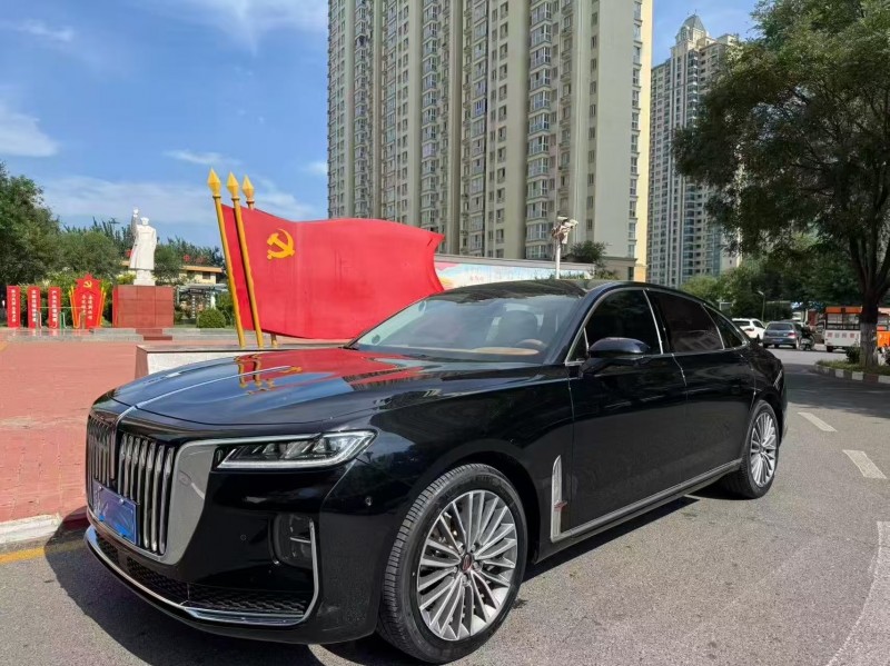 安阳22年红旗H93