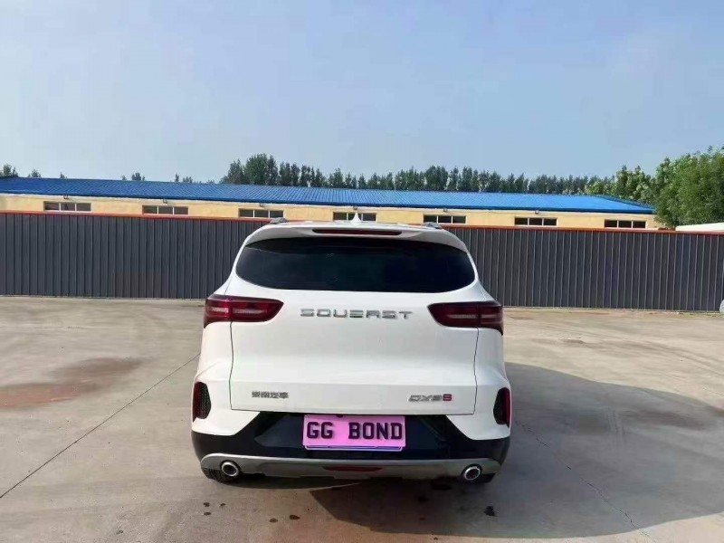 潍坊23年东南汽车DX86