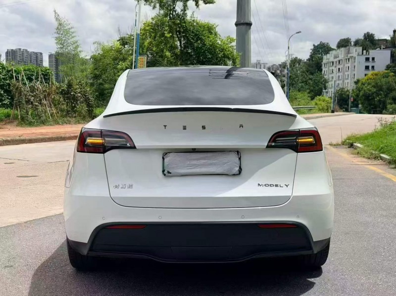 泉州21年特斯拉MODEL Y8