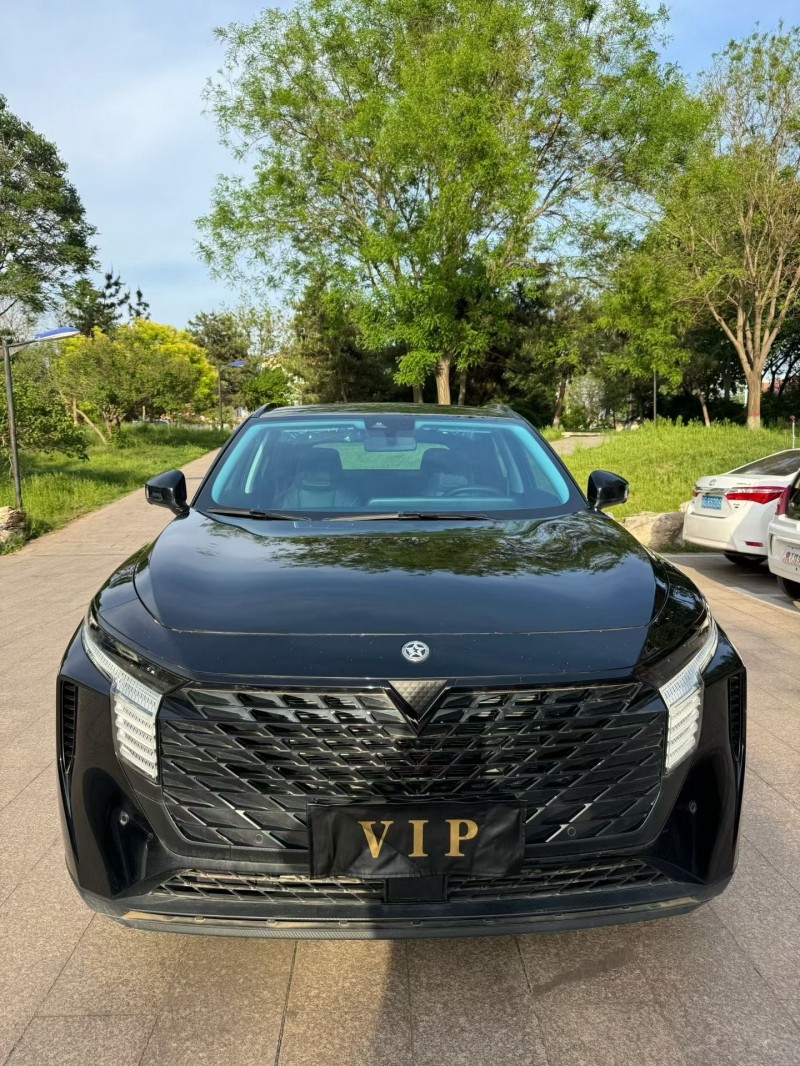 邢台22年启辰大V1