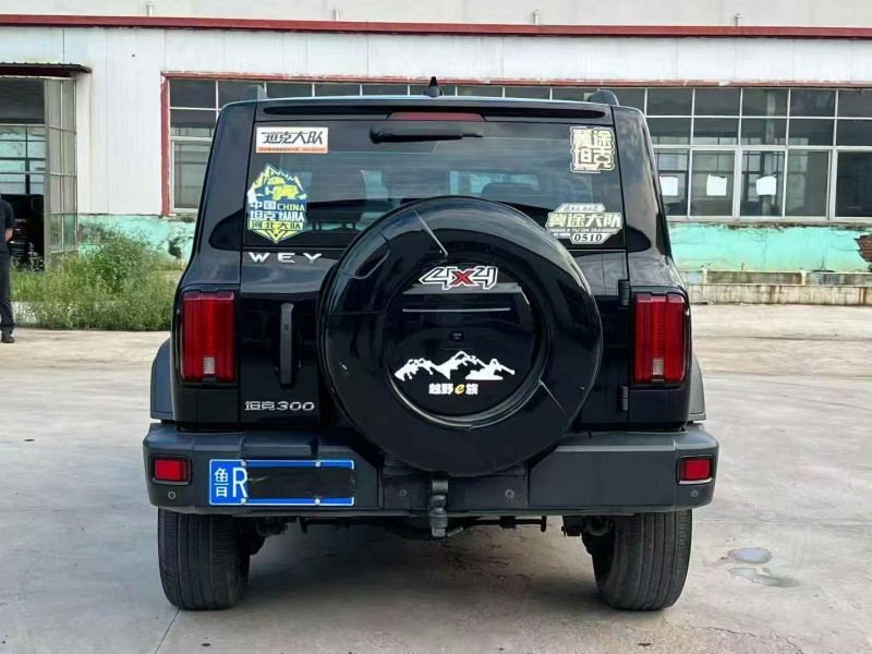 菏泽21年长城汽车WEY9