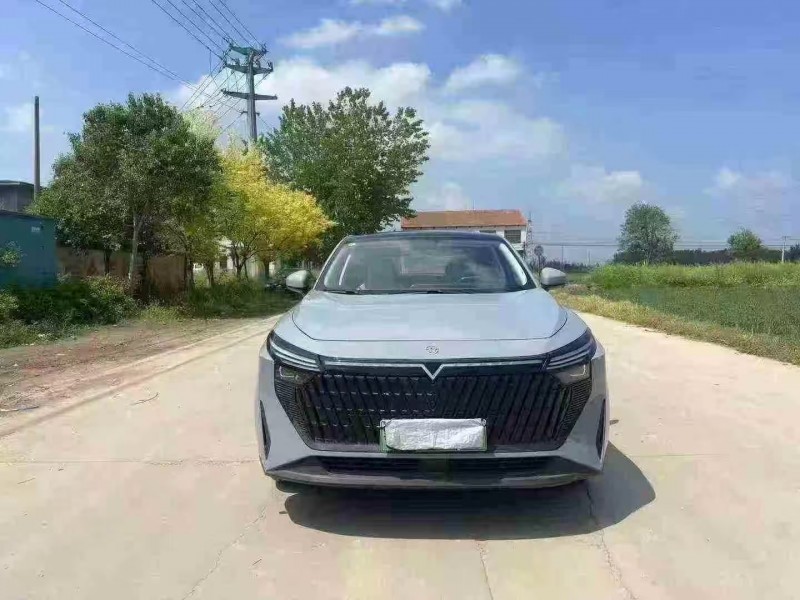 菏泽24年启辰VX61