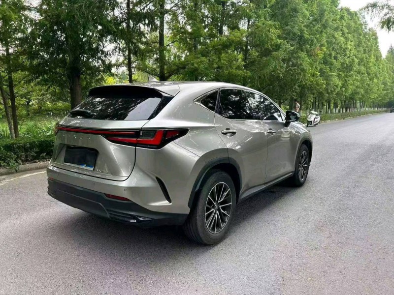 徐州22年雷克萨斯NX4