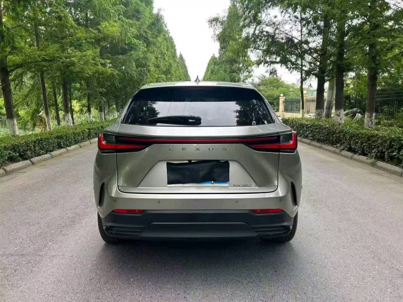 徐州22年雷克萨斯NX6