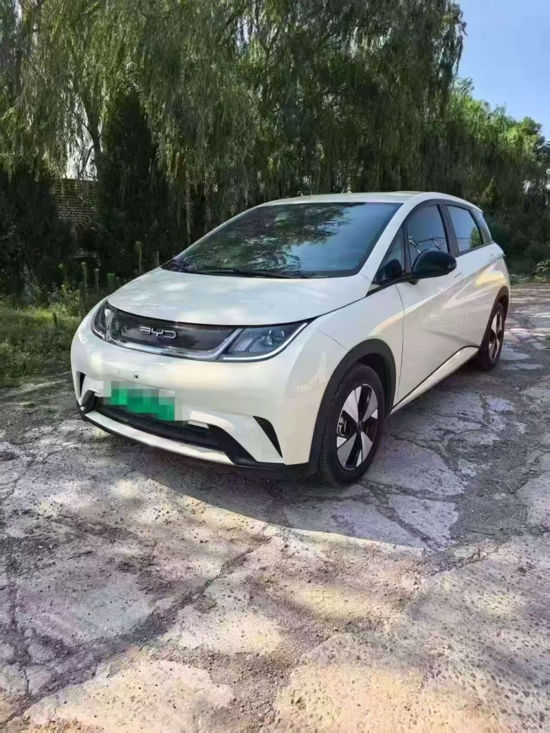 潍坊23年比亚迪海豚2