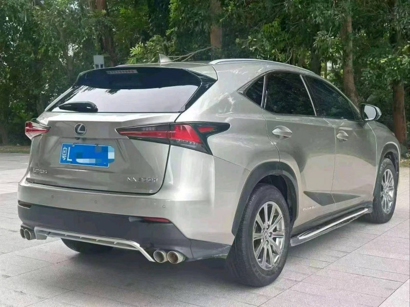 广州19年雷克萨斯NX9