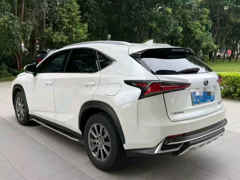 深圳19年雷克萨斯NX9