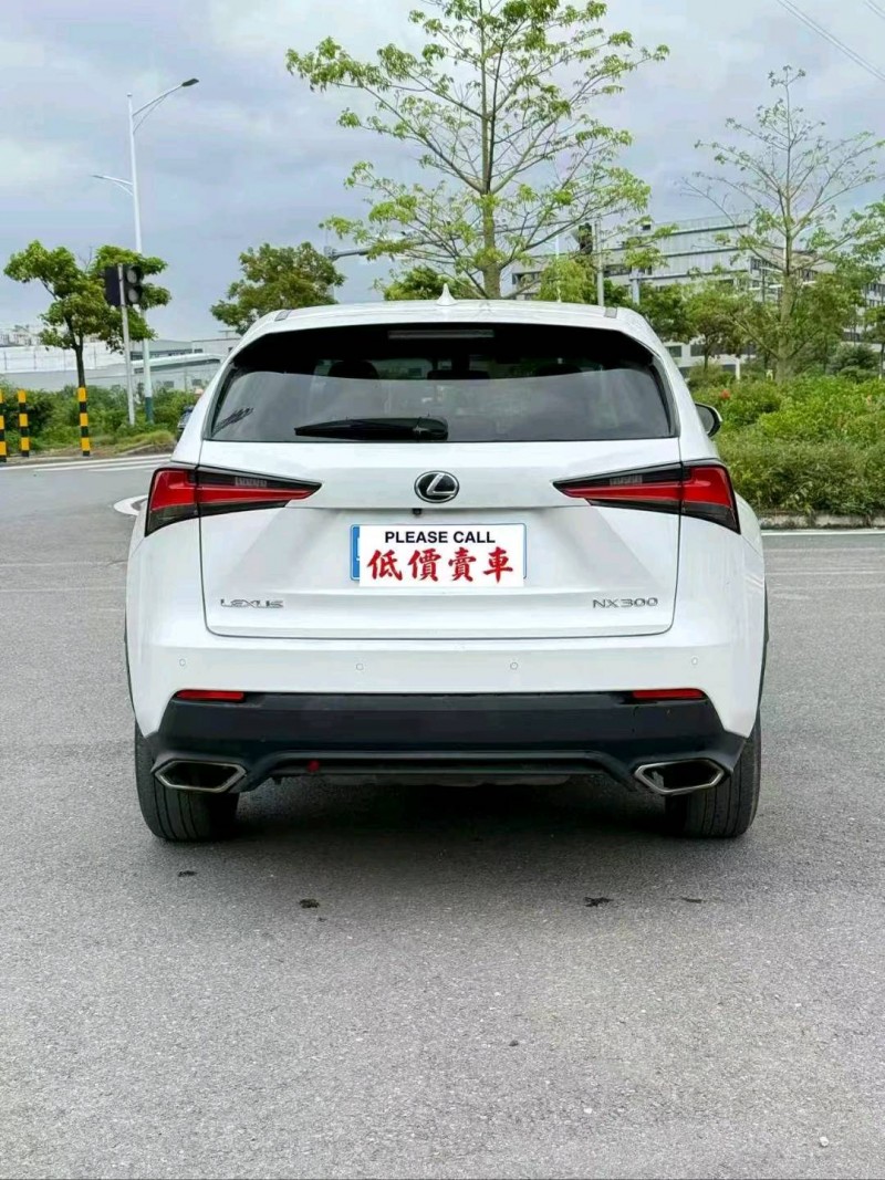 广州18年雷克萨斯NX8