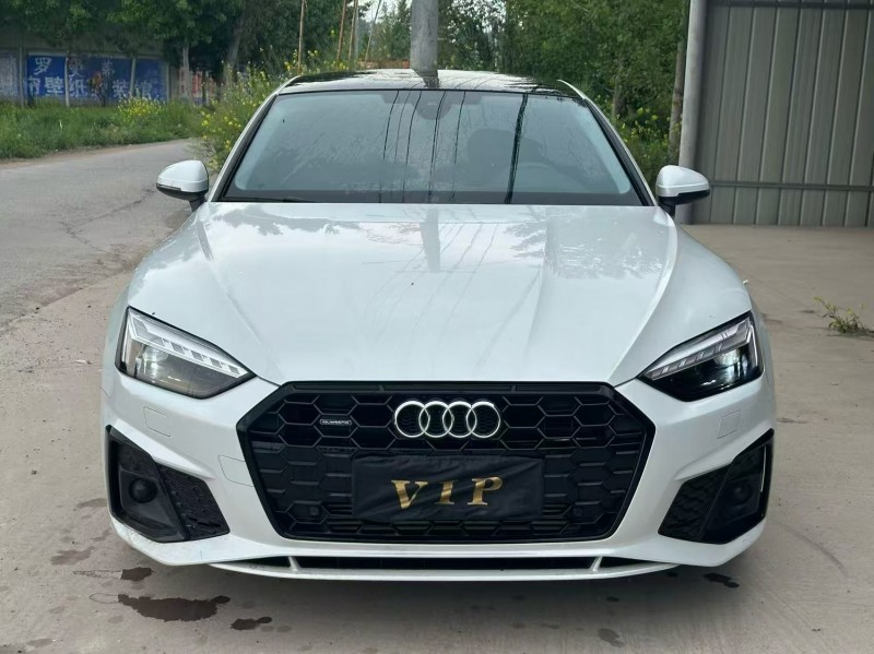 新乡23年奥迪A51