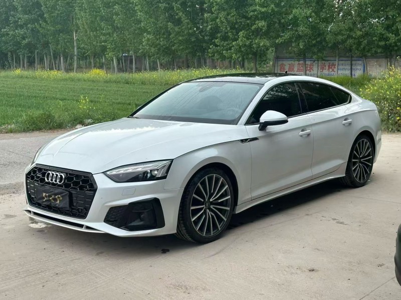 新乡23年奥迪A53