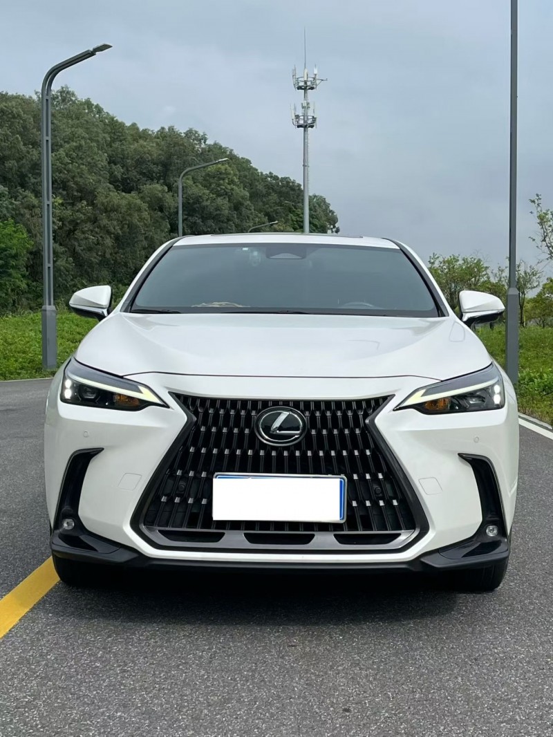 江门23年雷克萨斯NX1