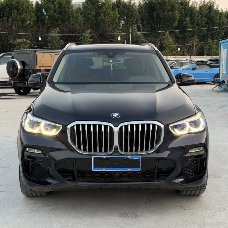 新乡21年宝马X51