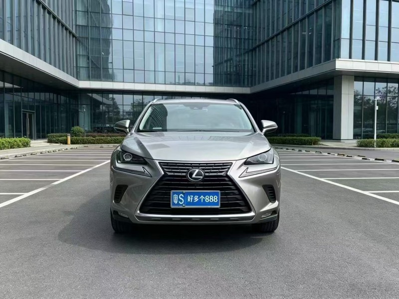 江门20年雷克萨斯NX1