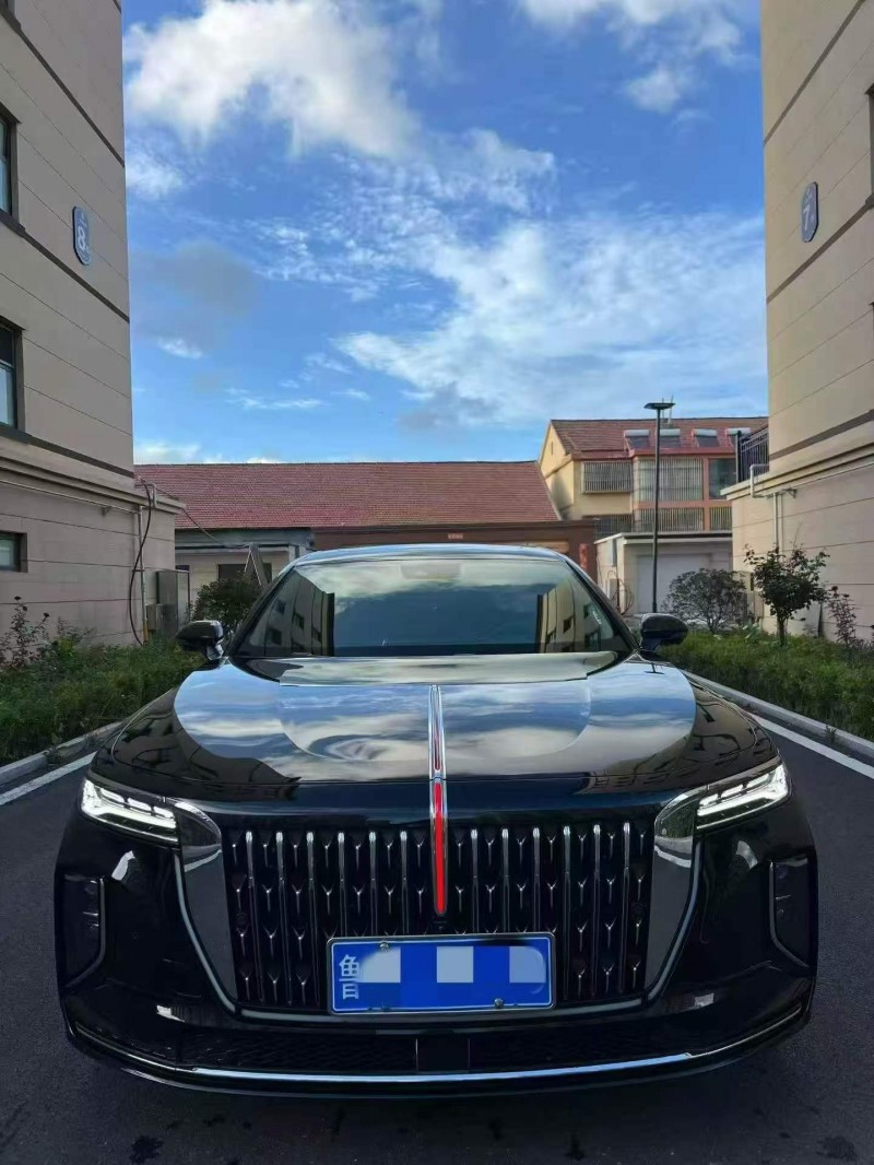 东营24年红旗H91