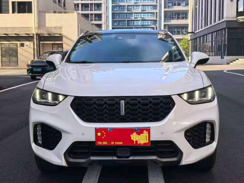 广州17年长城汽车WEY1
