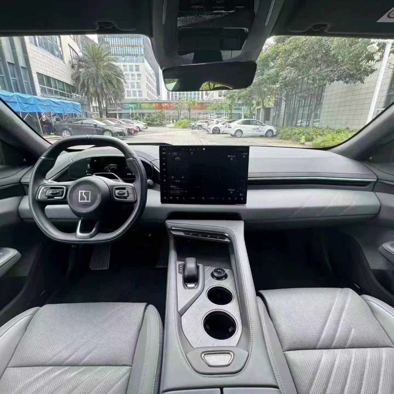 佛山24年极氪汽车0015