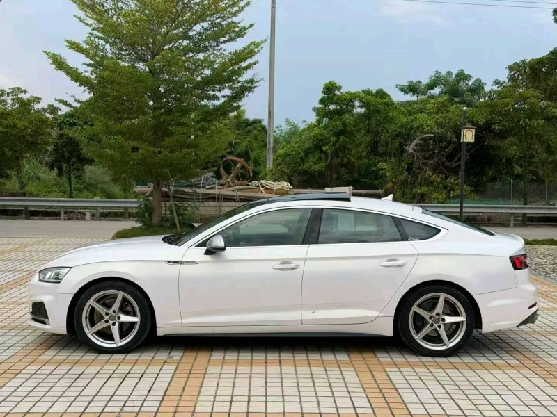 广州18年奥迪A52