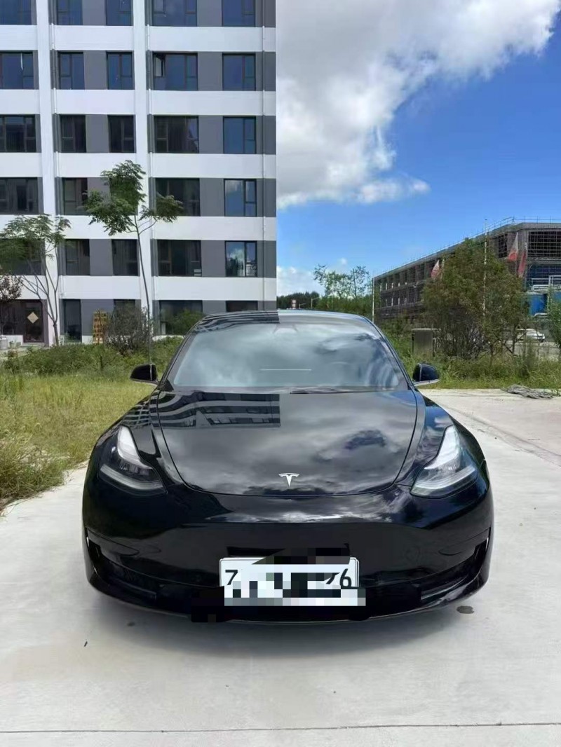 梧州20年特斯拉MODEL 31