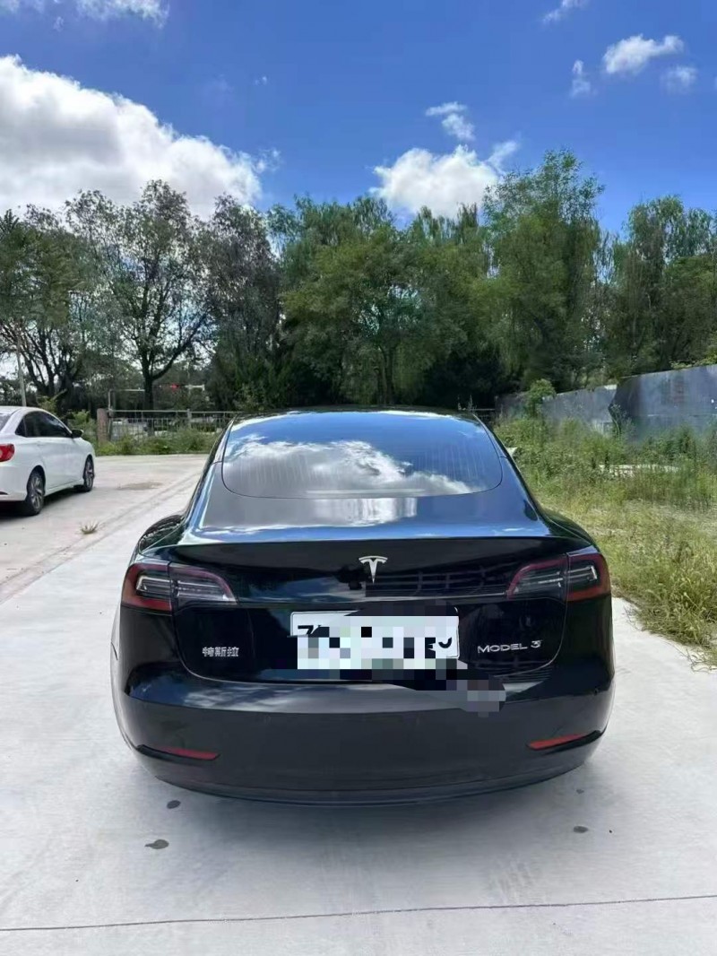 梧州20年特斯拉MODEL 39