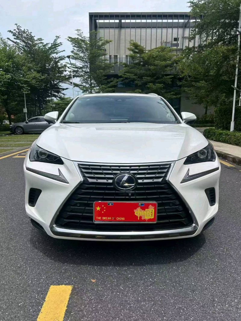 广州19年雷克萨斯RX1