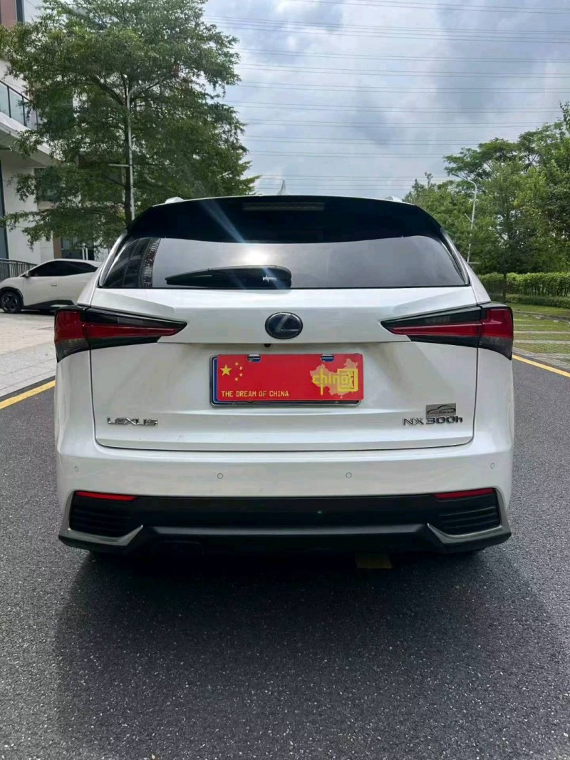 广州19年雷克萨斯RX9