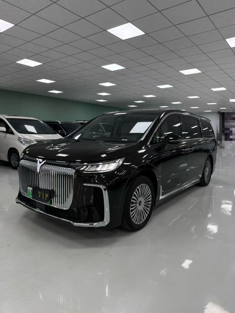 廊坊25年嵐圖汽車夢想家2