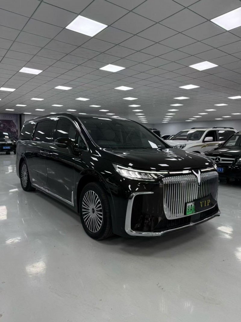 廊坊25年嵐圖汽車夢想家3