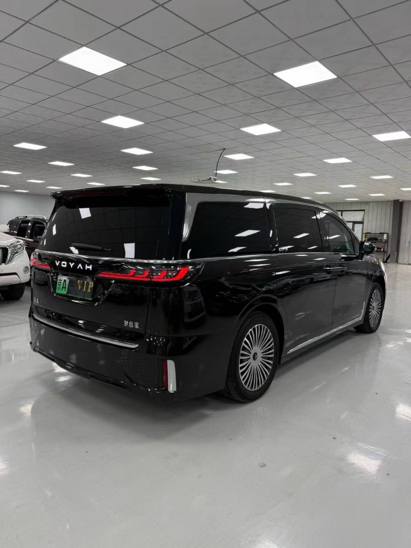 廊坊25年嵐圖汽車夢想家5
