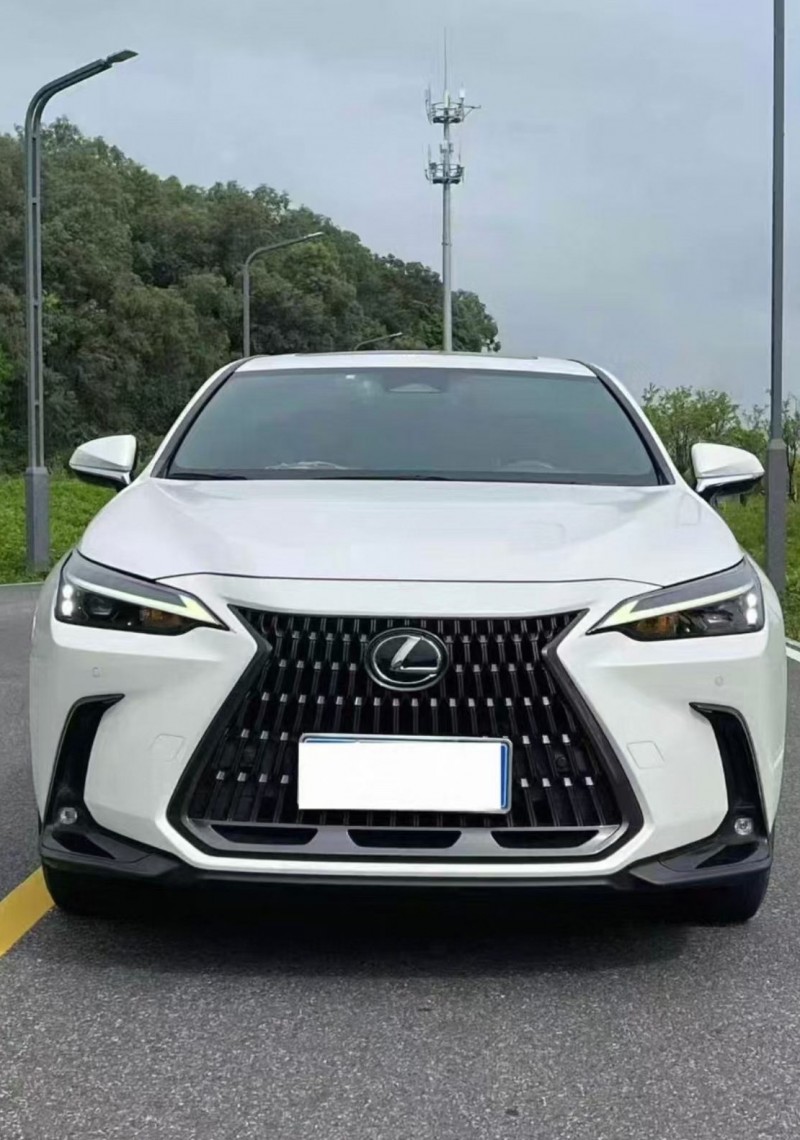 娄底25年雷克萨斯NX1