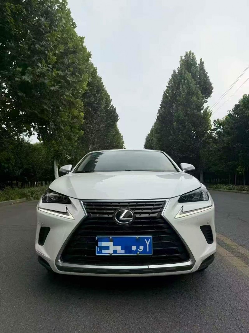 东营20年雷克萨斯NX1