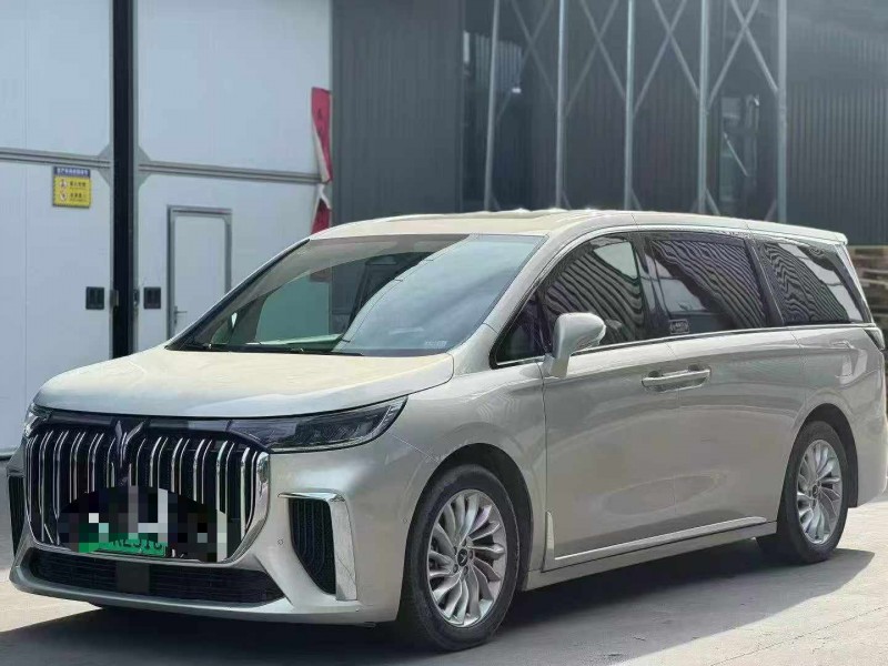 咸陽23年嵐圖汽車夢想家3