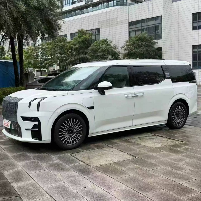 佛山23年极氪汽车0093