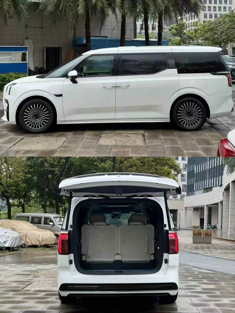 佛山23年极氪汽车0096