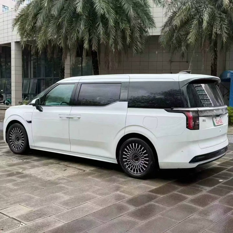 佛山23年极氪汽车0098