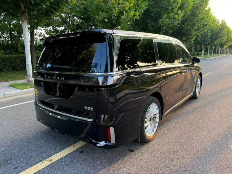 徐州23年嵐圖汽車夢想家4