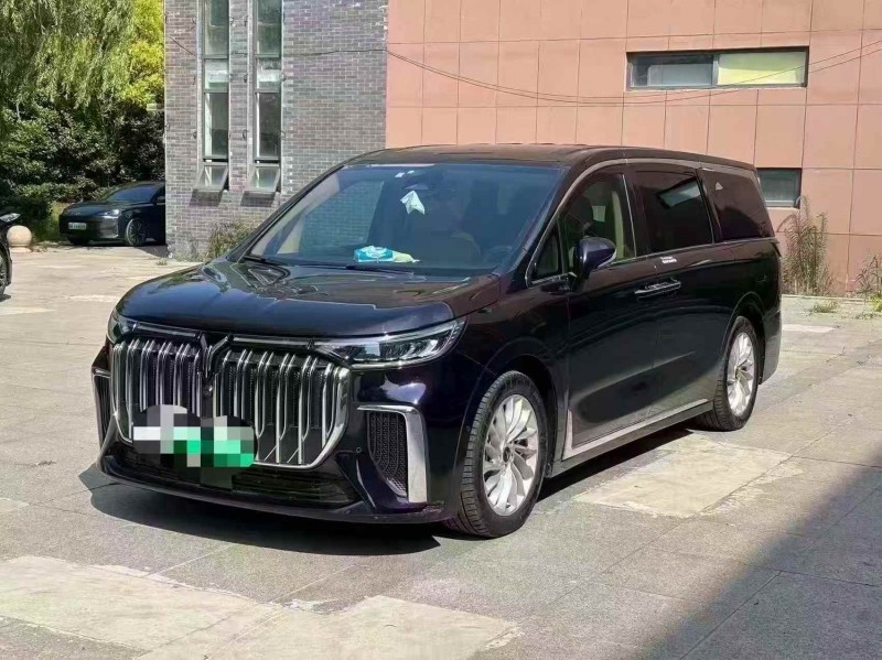煙臺23年嵐圖汽車夢想家2