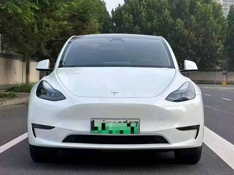 平顶山24年特斯拉MODEL Y1