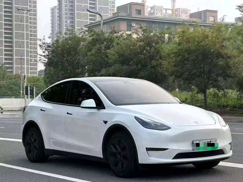 平顶山24年特斯拉MODEL Y2