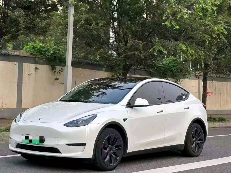 平顶山24年特斯拉MODEL Y3