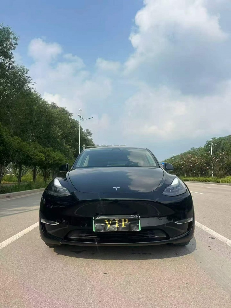 棗莊21年特斯拉MODEL Y1