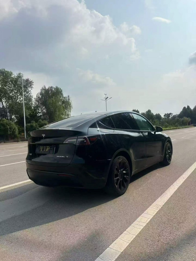 棗莊21年特斯拉MODEL Y8