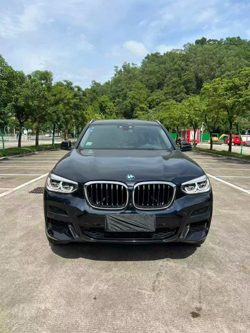 广州19年宝马X31