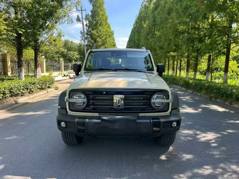 徐州26年長城汽車坦克1