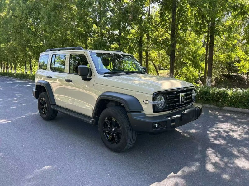 徐州26年長城汽車坦克2