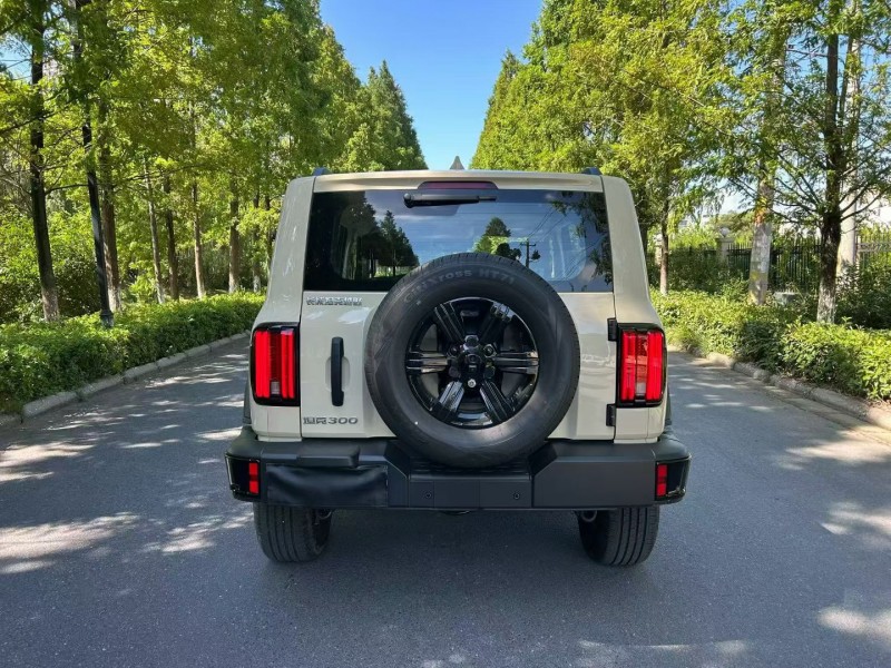 徐州26年長城汽車坦克9