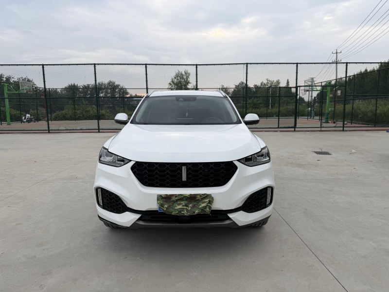 徐州19年長城汽車魏牌1