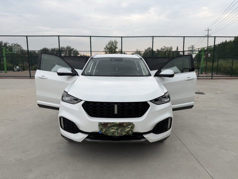 徐州19年長城汽車魏牌7